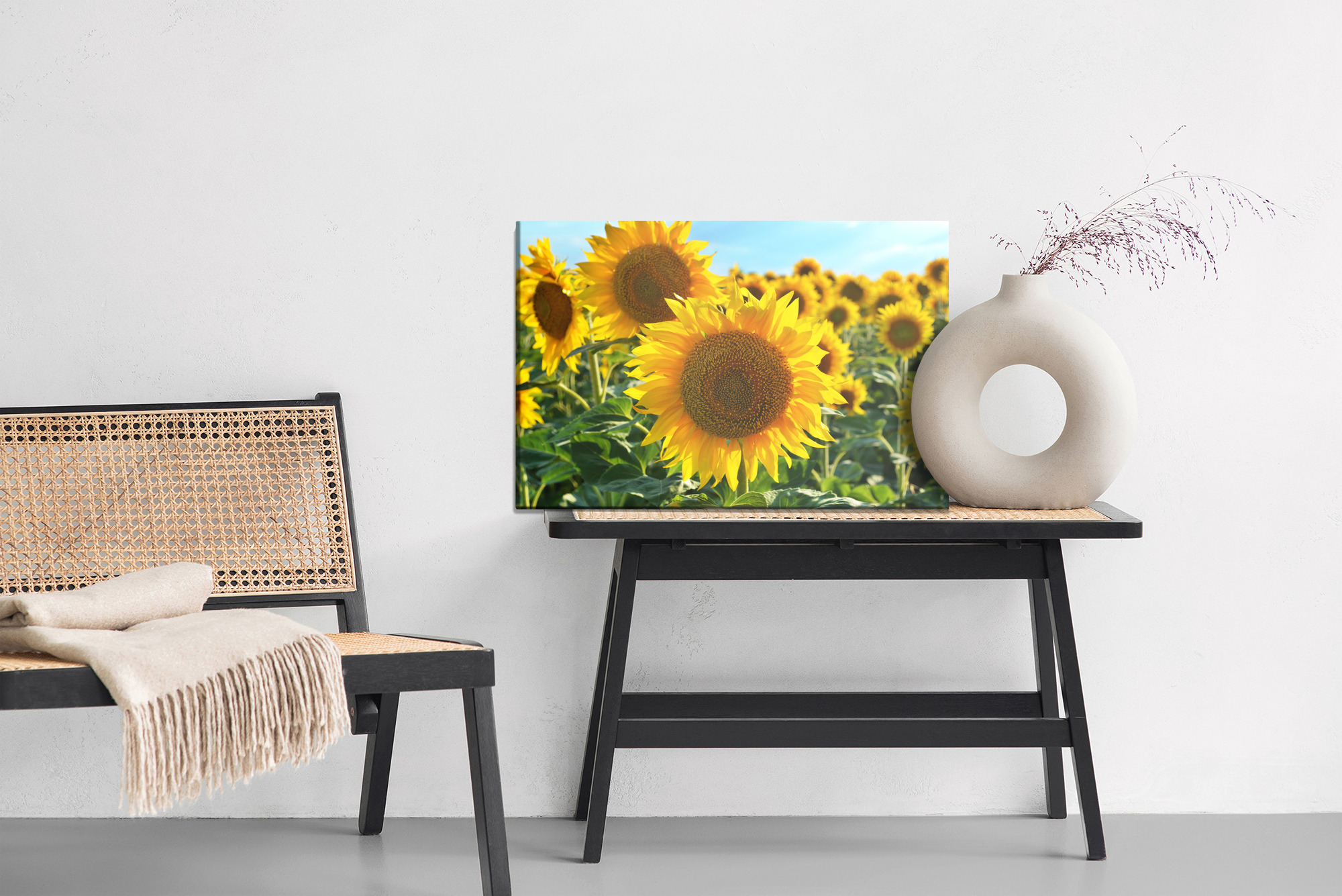 Sunflower Field in the Summer Sun. Canvas Print - Image 9