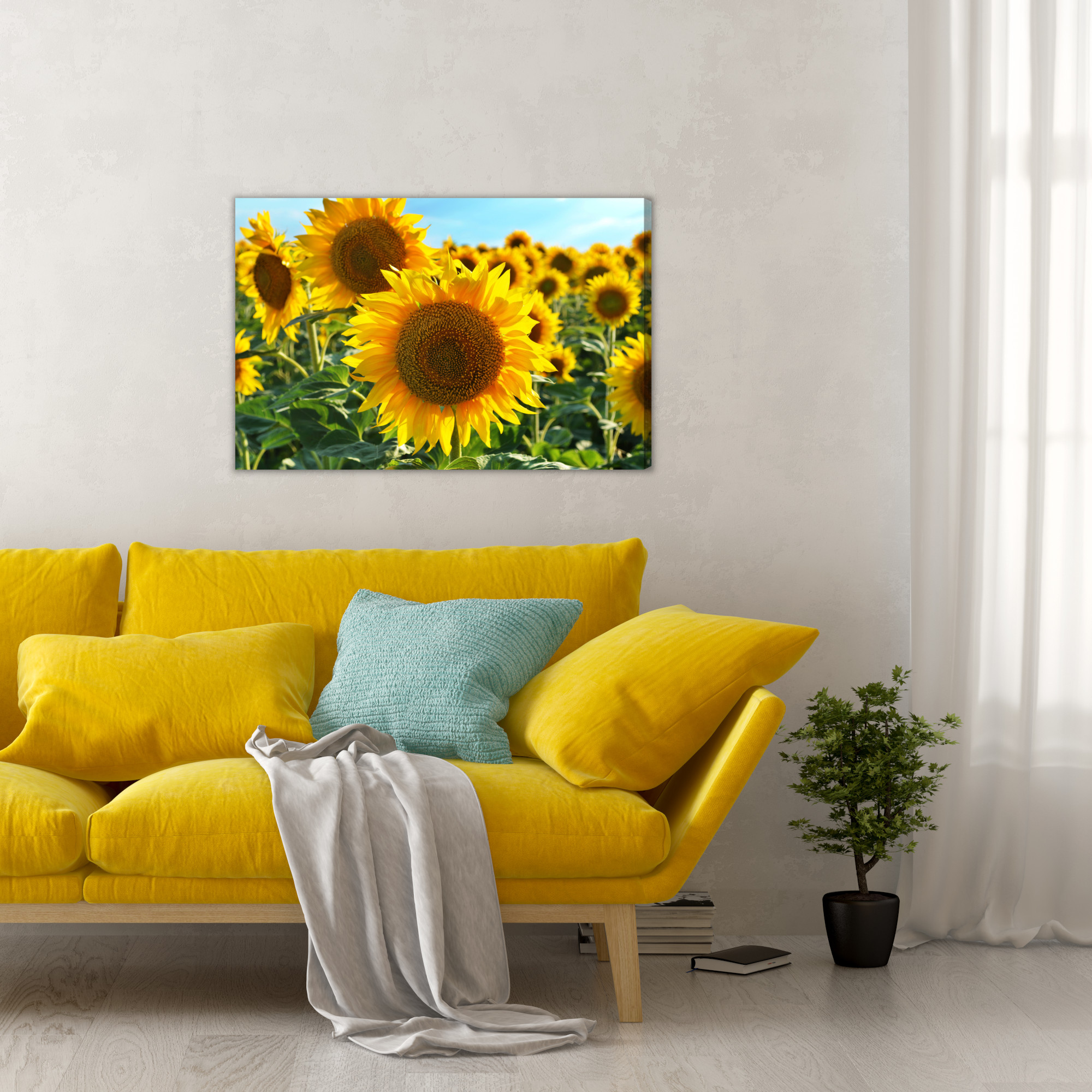Sunflower Field in the Summer Sun. Canvas Print - Image 4
