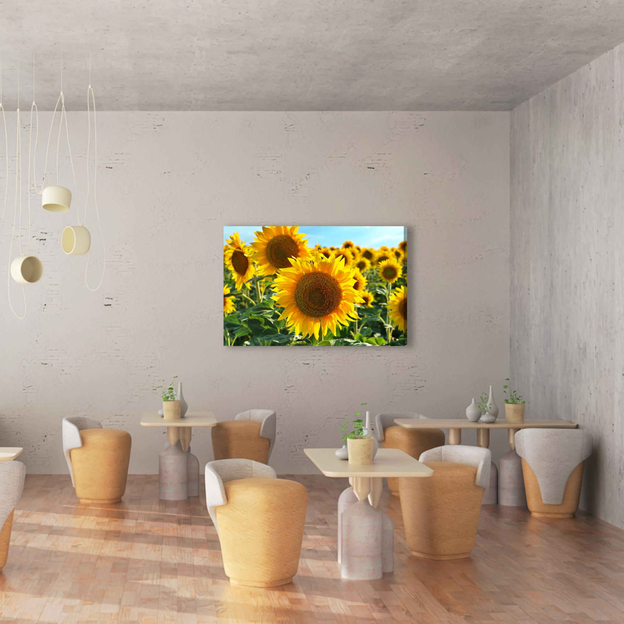 Sunflower Field in the Summer Sun. Canvas Print - Image 5