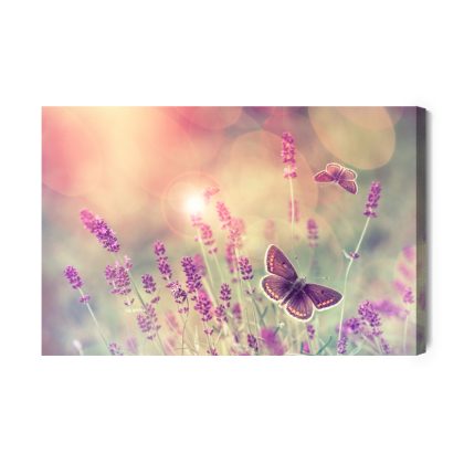 Leinwandbild Schmetterlinge zwischen blühendem Lavendel