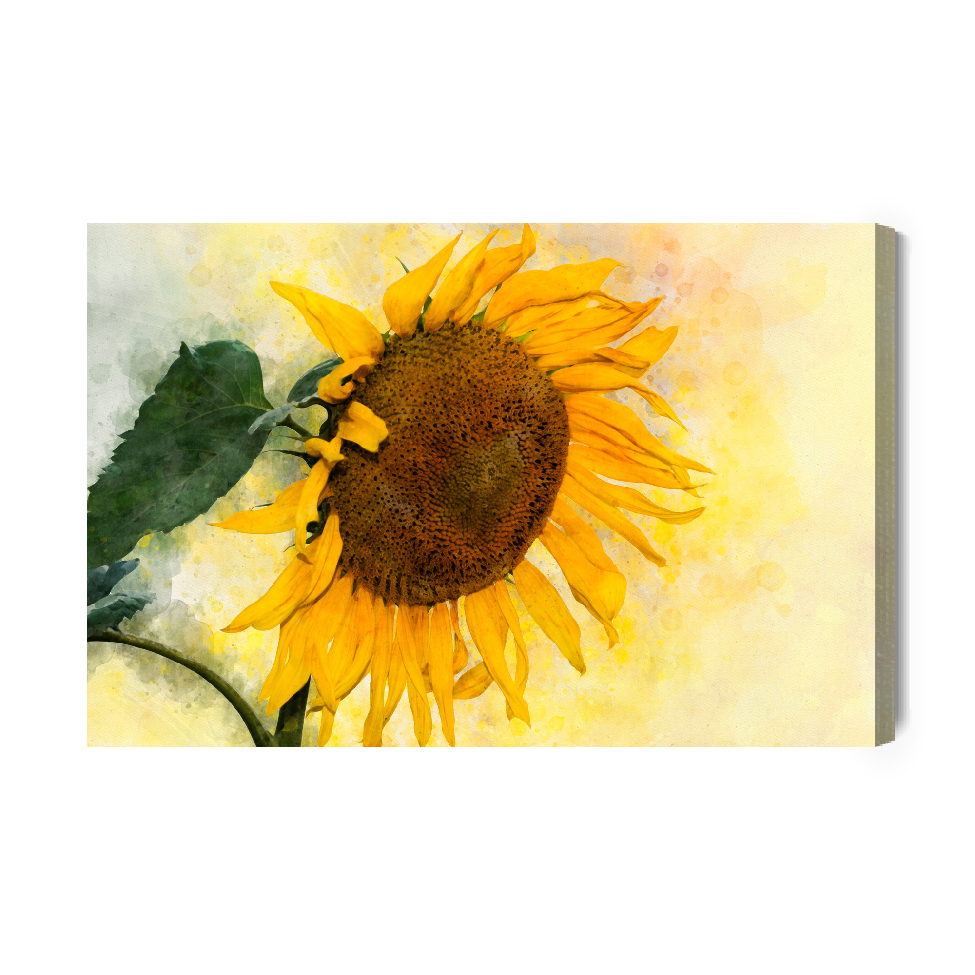 Leinwandbild Sonnenblume voller Wärme