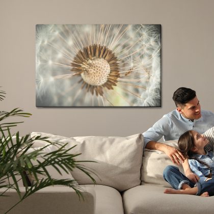 Dandelion in a Natural Close-up. Canvas Print