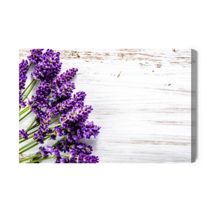 Leinwandbild Lavendel auf weißem Holz