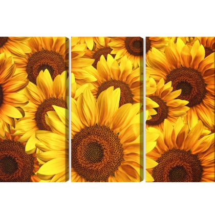 Multi-Part Picture with Radiant Sunflowers
