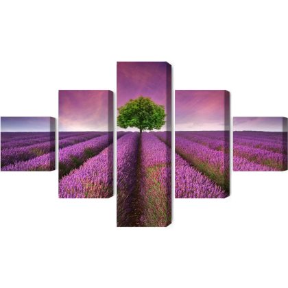 5-panel canvas print tree in a lavender field