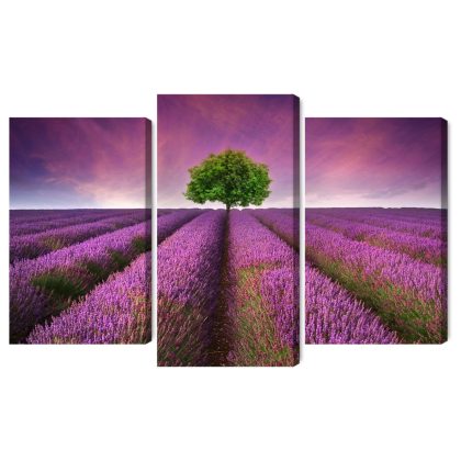Multi-panel canvas print triptych tree in a lavender field