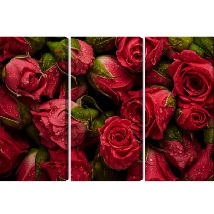 Triptych canvas print red roses with drops