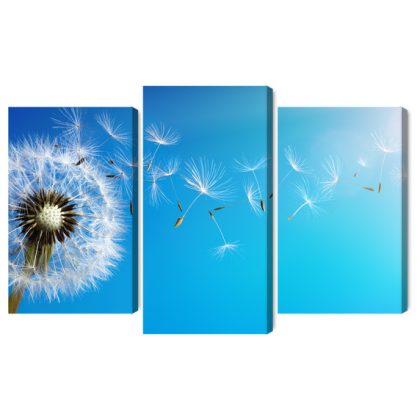 Triptych canvas print dandelion on blue background