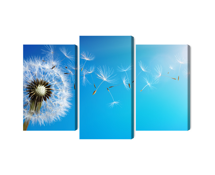Triptych canvas print dandelion on blue background