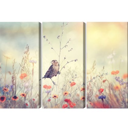 Triptych canvas print bird on pastel meadow