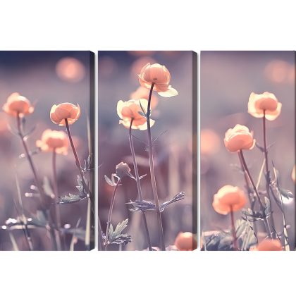 Mehrteiliges Leinwandbild Triptychon mit Pastellblumen