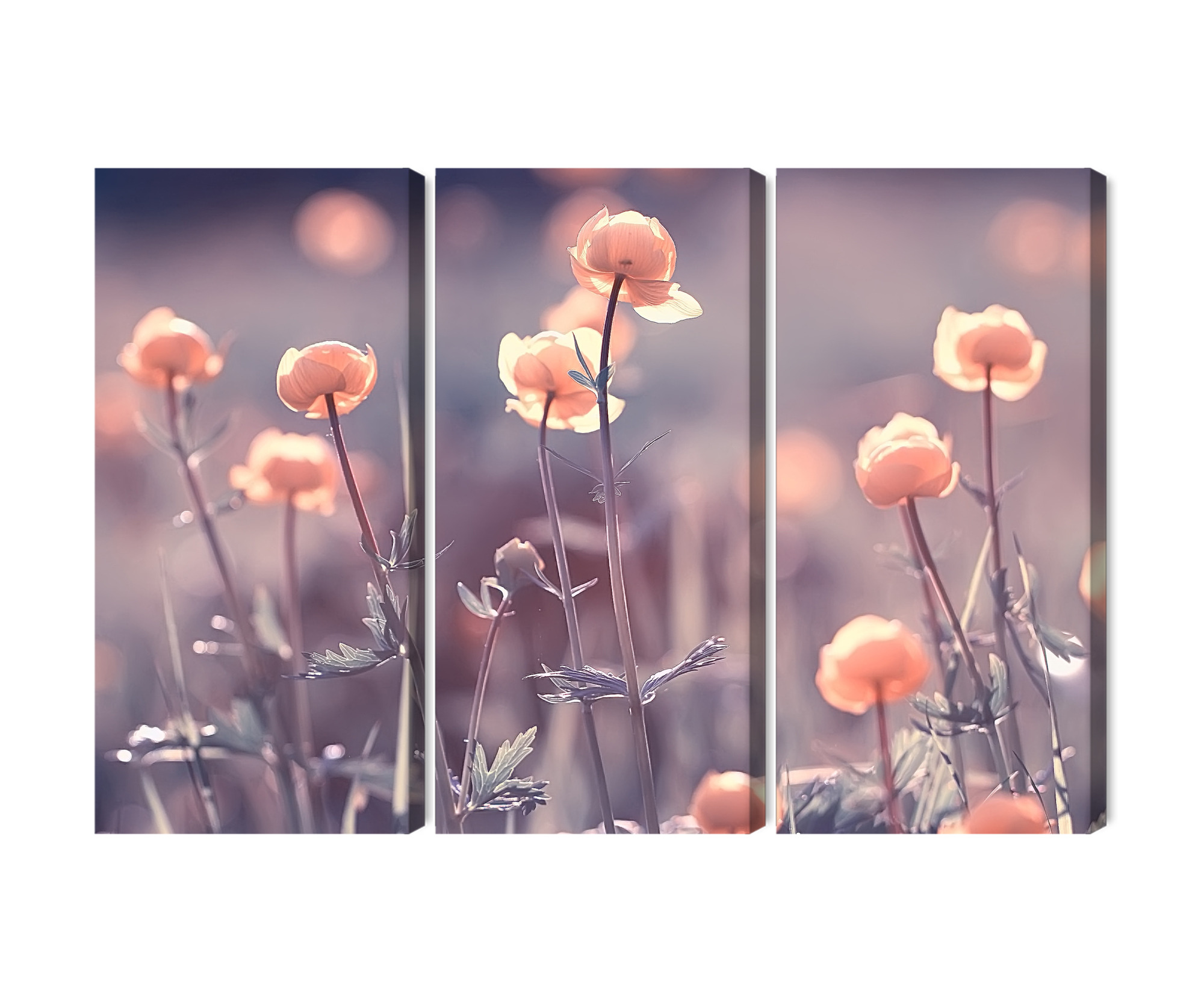 Mehrteiliges Leinwandbild Triptychon mit Pastellblumen