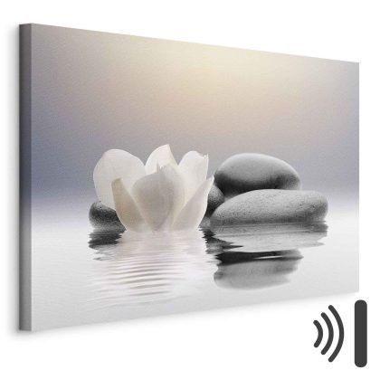 Canvas Print Lotus and Stones in Calm Harmony