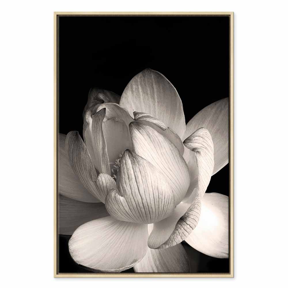 Leinwandbild Weißer Lotus auf schwarzem Hintergrund – Bild 21