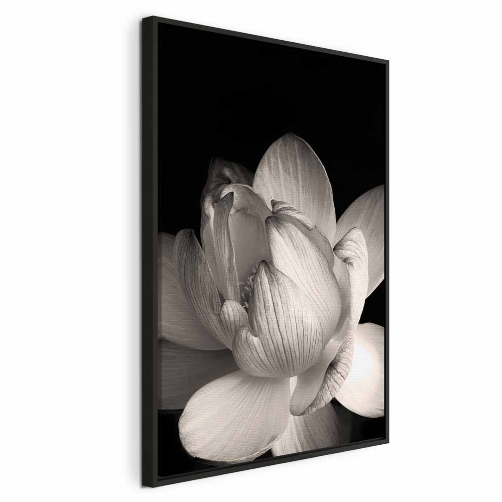 Leinwandbild Weißer Lotus auf schwarzem Hintergrund – Bild 14