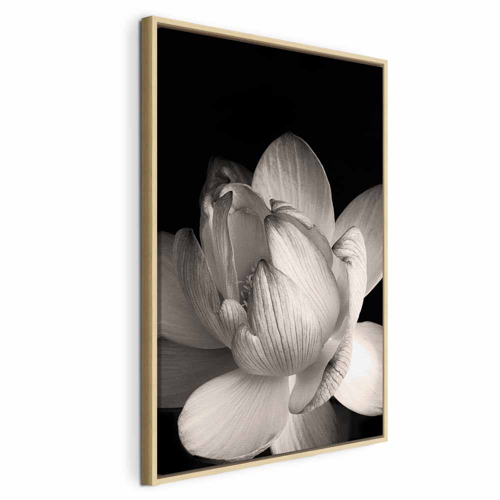Leinwandbild Weißer Lotus auf schwarzem Hintergrund – Bild 20