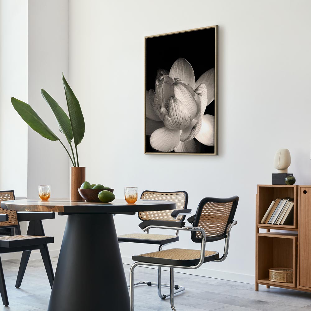 Leinwandbild Weißer Lotus auf schwarzem Hintergrund – Bild 22