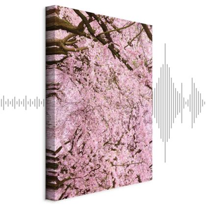 Canvas print pink cherry blossoms
