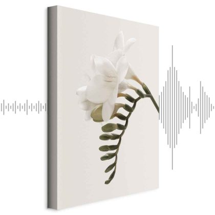 Canvas Print White Freesias in a Minimalist Style