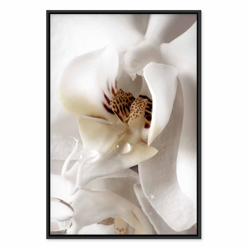 Canvas Print Orchid in Cream Harmony - Image 15