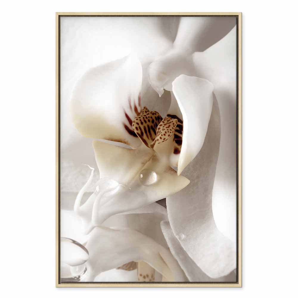 Canvas Print Orchid in Cream Harmony - Image 21