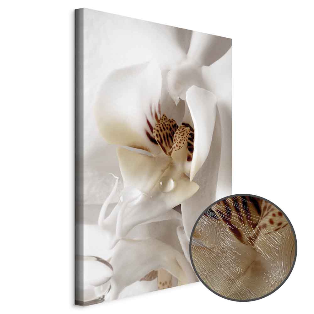 Canvas Print Orchid in Cream Harmony - Image 9