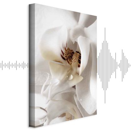 Canvas Print Orchid in Cream Harmony
