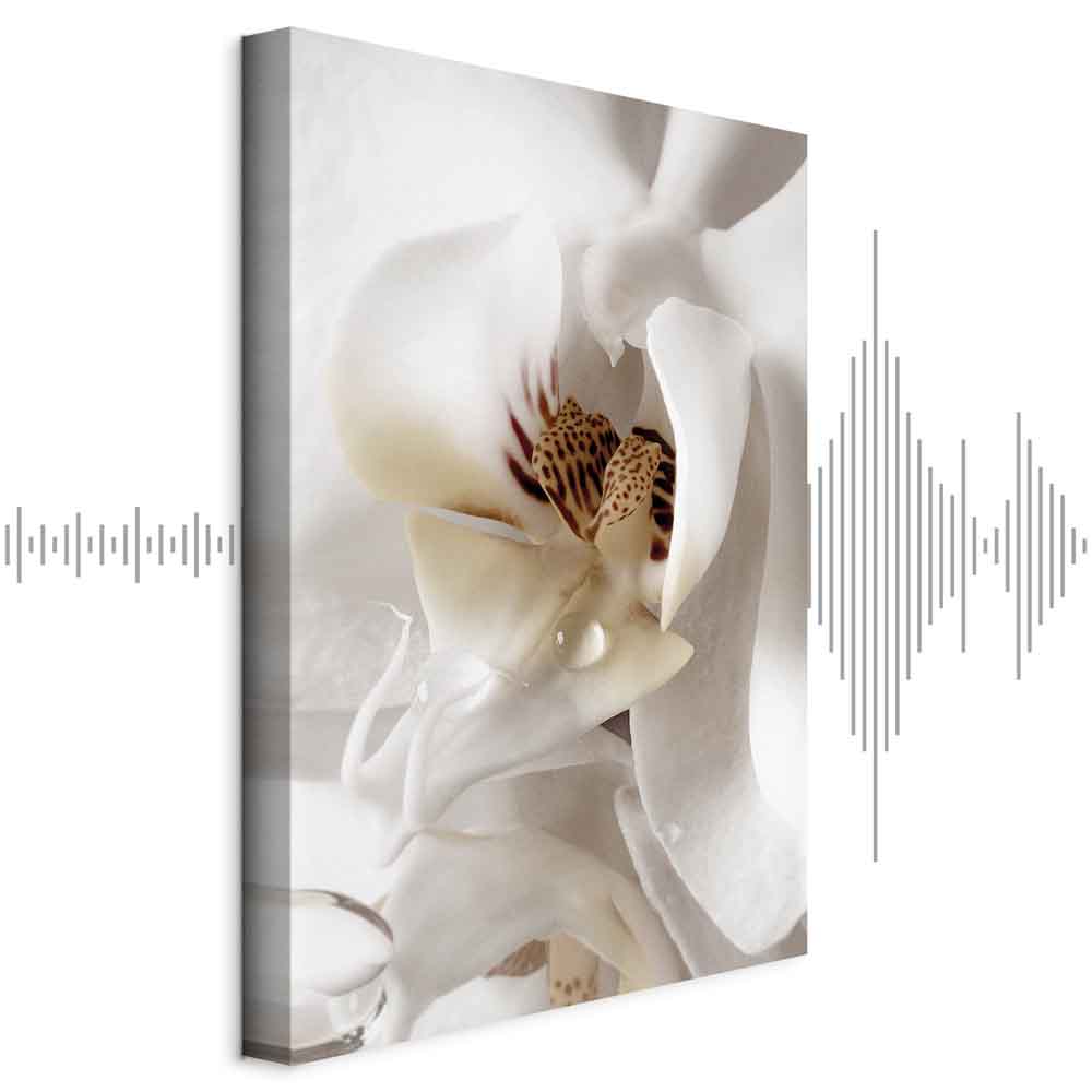 Canvas Print Orchid in Cream Harmony