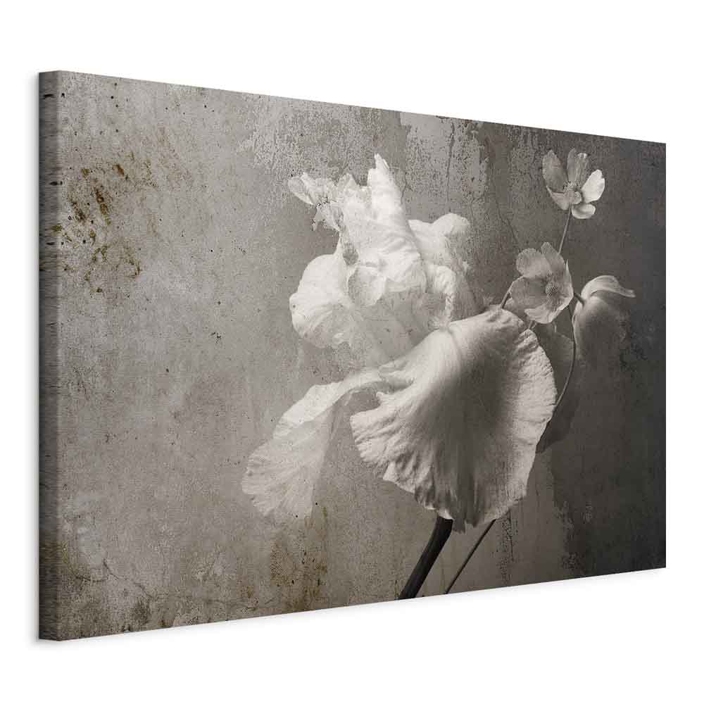 Canvas print white flowers in grey tones - Image 11