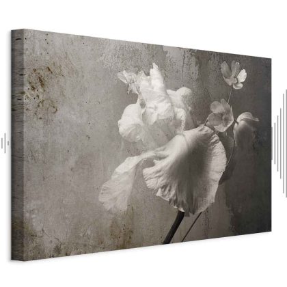 Canvas print white flowers in grey tones
