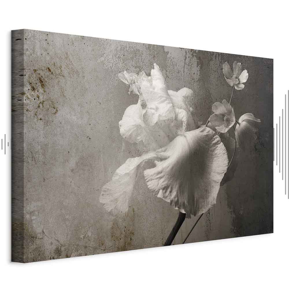 Canvas print white flowers in grey tones