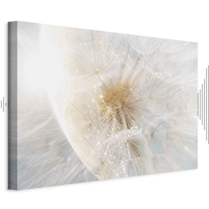 Leinwandbild Pusteblume im pastellfarbenen Licht