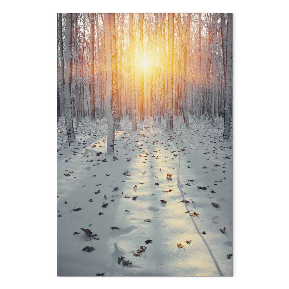 Winterwald im Sonnenlicht. Leinwandbild. – Bild 2
