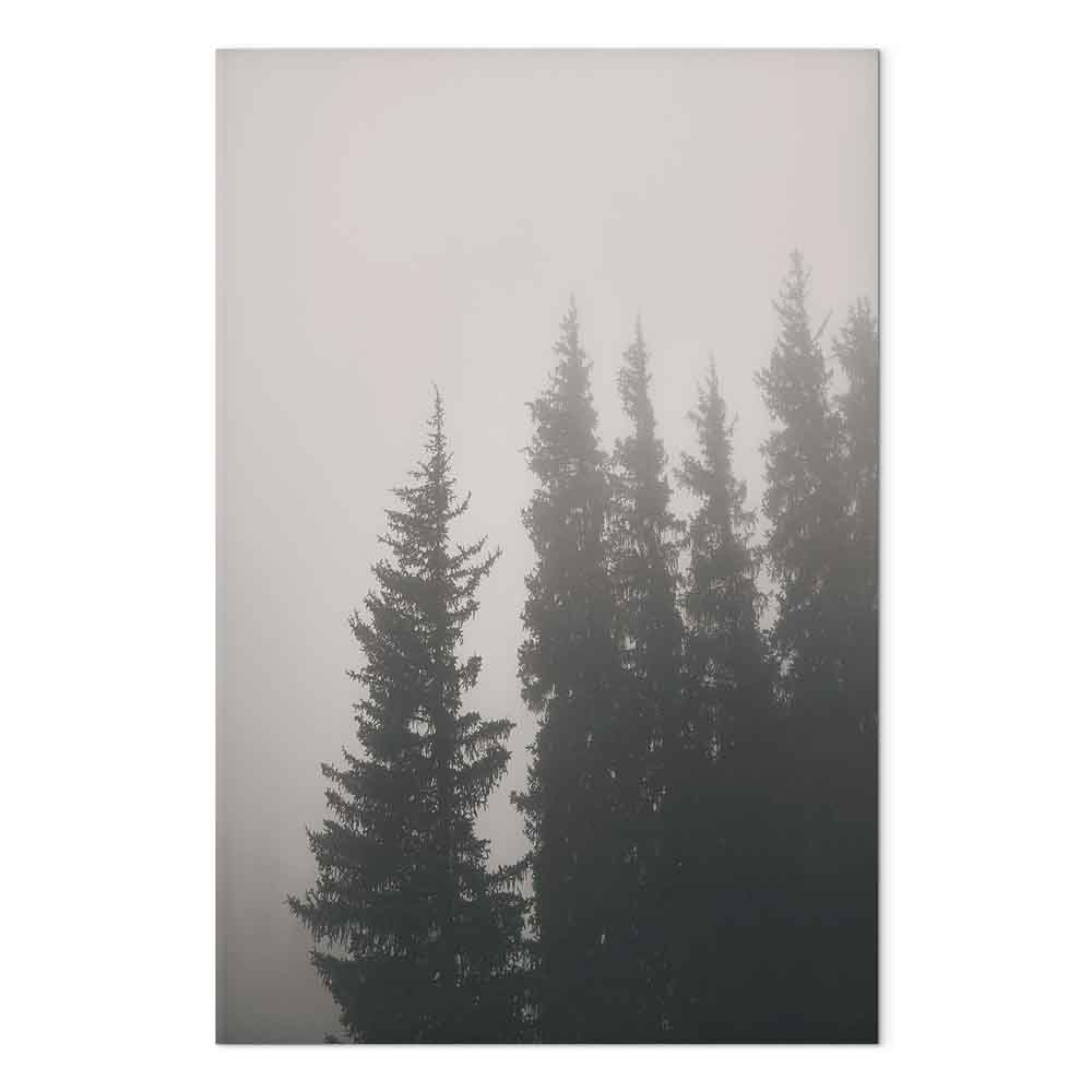 Nebelige Fichten in einem ruhigen Wald. Leinwandbild. – Bild 2