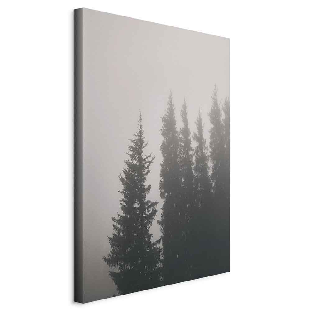 Nebelige Fichten in einem ruhigen Wald. Leinwandbild. – Bild 11