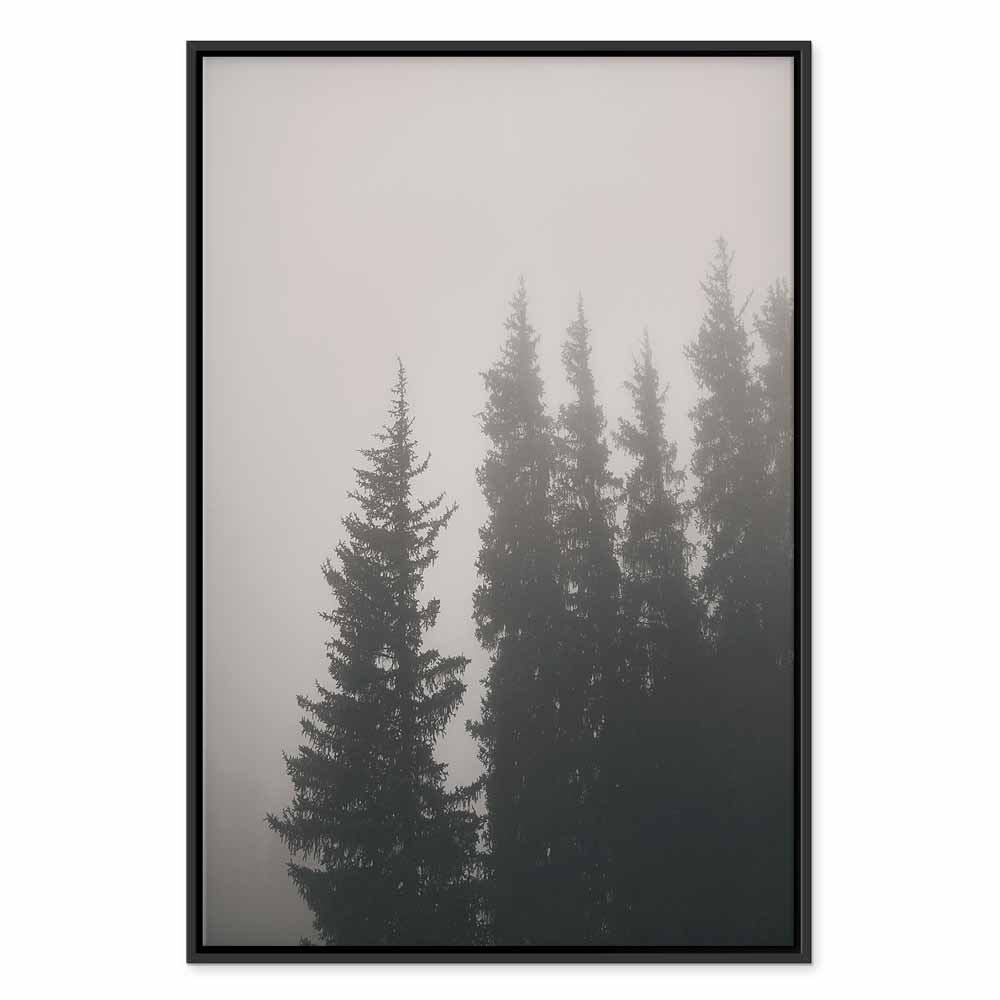 Nebelige Fichten in einem ruhigen Wald. Leinwandbild. – Bild 15