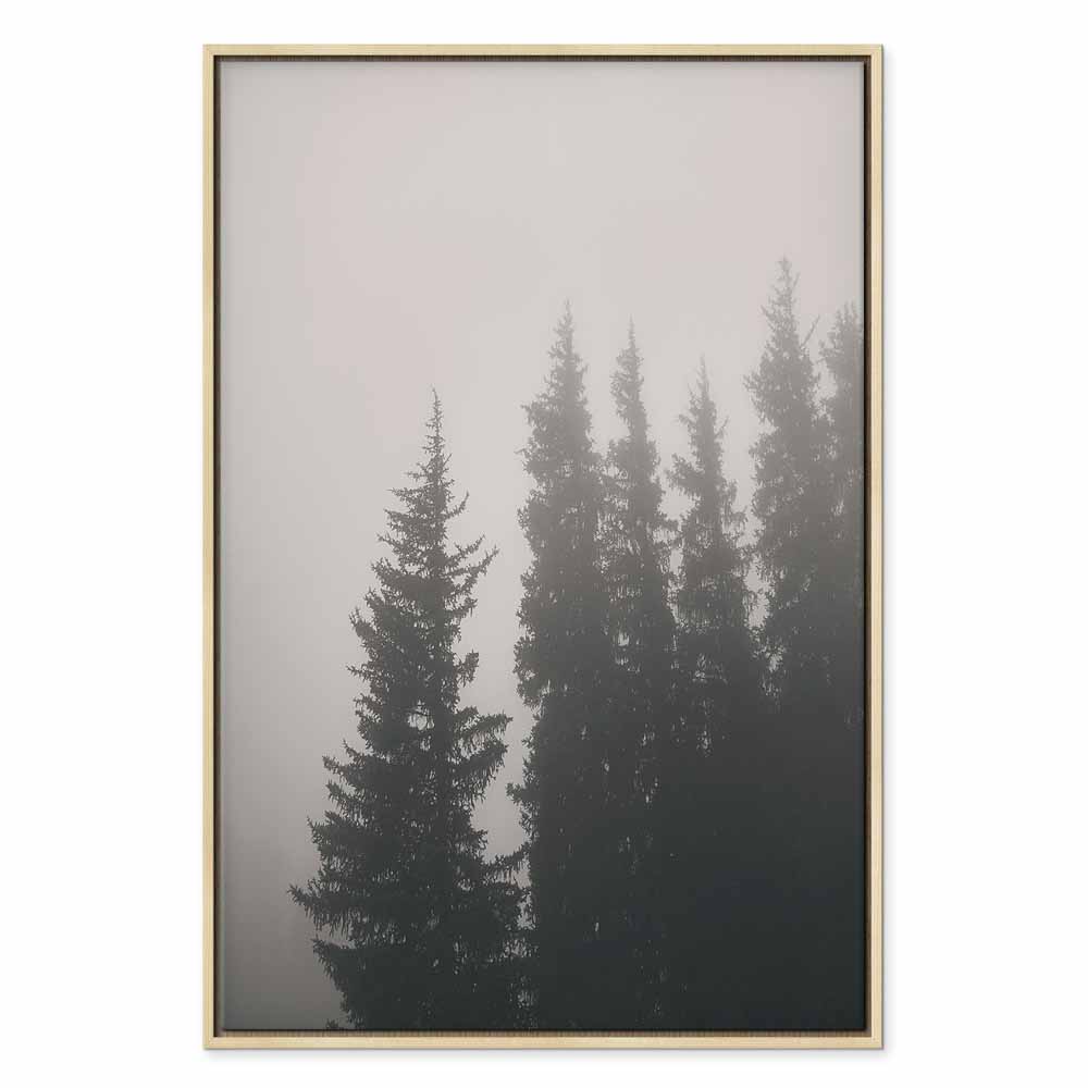 Nebelige Fichten in einem ruhigen Wald. Leinwandbild. – Bild 21